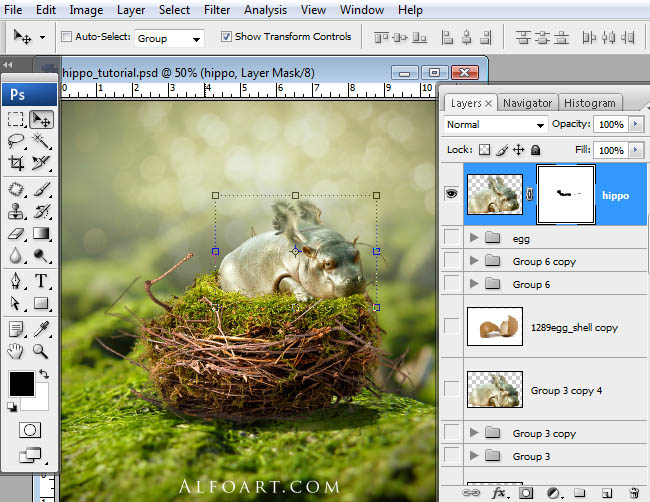 hippo, photoshop, nest, egg, shell, flying hippo, cute, baby, wings, hippopotamus, feathers
